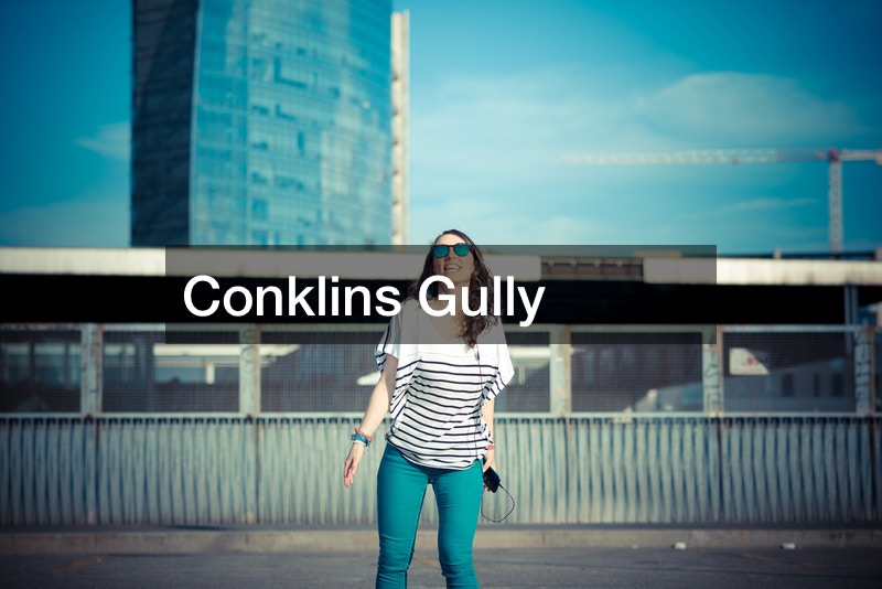 Conklins Gully