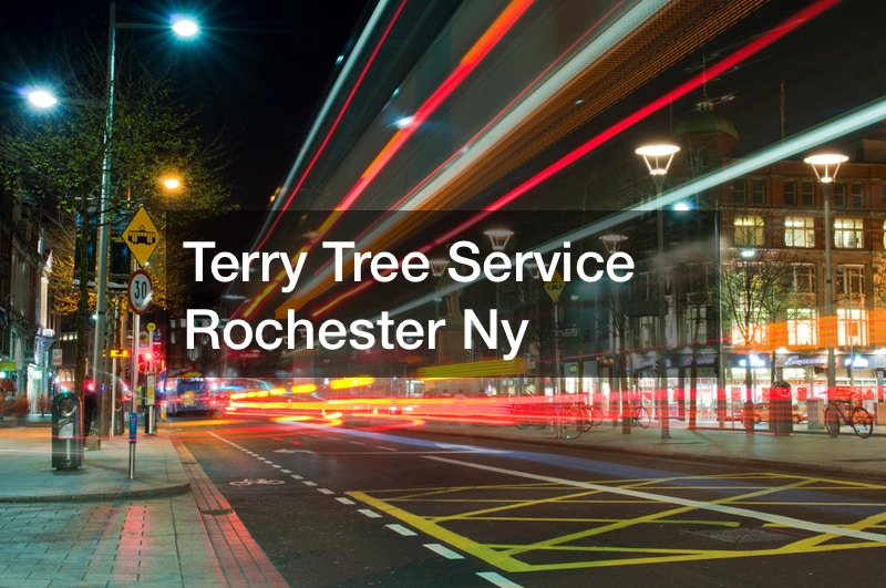 Terry Tree Service Rochester Ny
