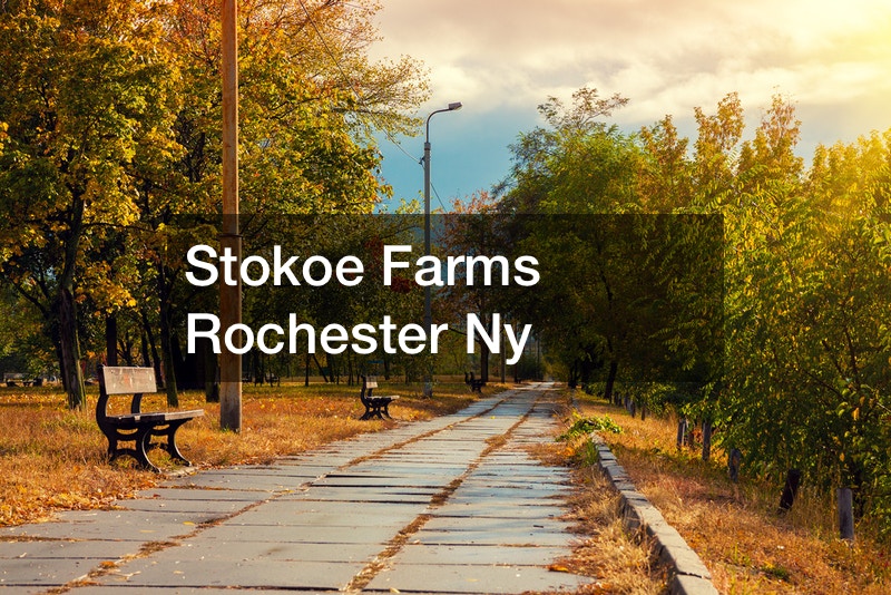 Stokoe Farms Rochester Ny