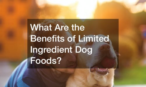 What Are the Benefits of Limited Ingredient Dog Foods?