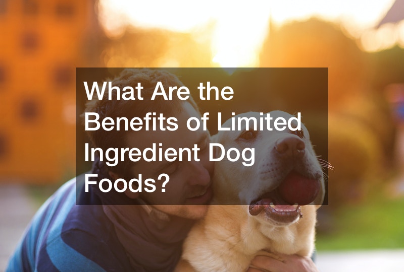 What Are the Benefits of Limited Ingredient Dog Foods?