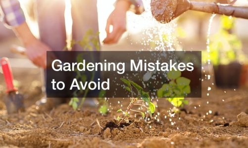Gardening Mistakes to Avoid