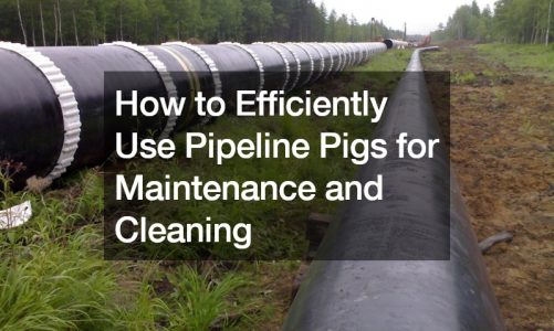 How to Efficiently Use Pipeline Pigs for Maintenance and Cleaning
