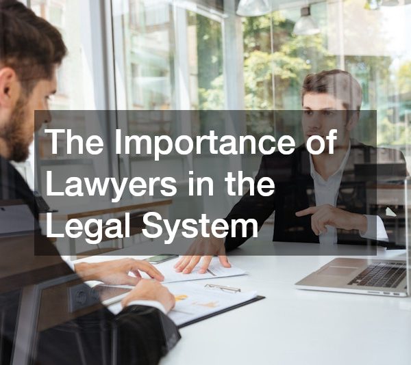 The Importance of Lawyers in the Legal System