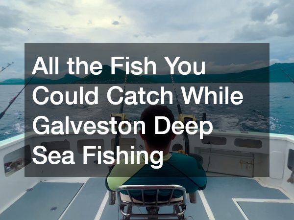 All the Fish You Could Catch While Galveston Deep Sea Fishing