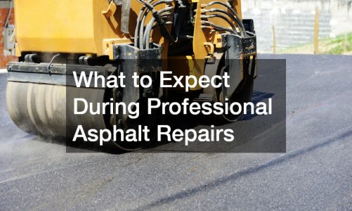 What to Expect During Professional Asphalt Repairs
