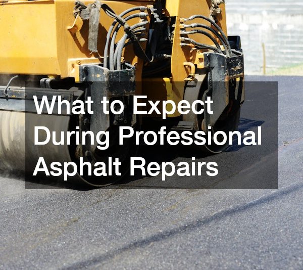 What to Expect During Professional Asphalt Repairs